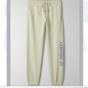 Cozy aritzia TNA boyfriend sweatpants